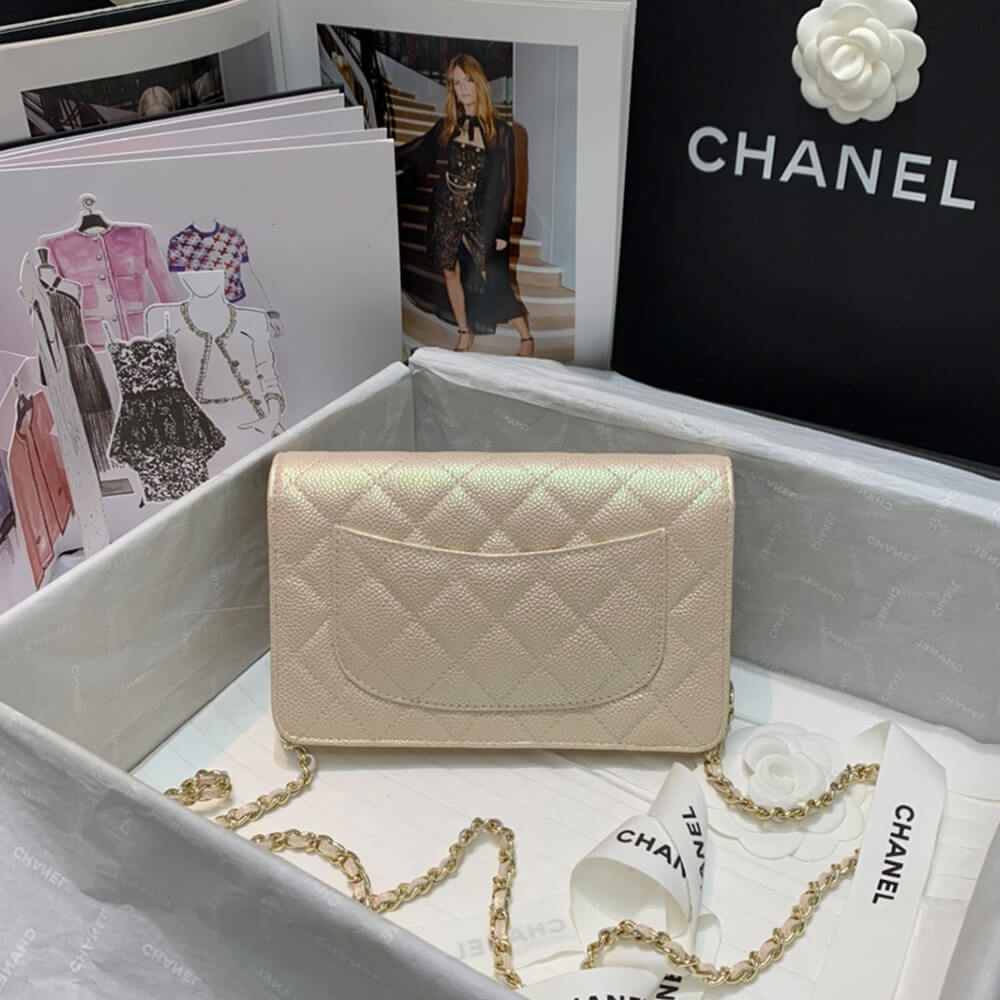Ch*el wallet on chain